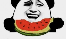 51免费吃瓜官方怎么打不开了,原因及解决方案揭秘