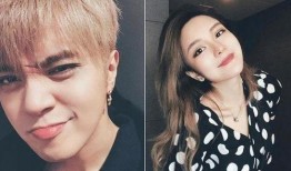 明星网红吃瓜群免费下载,揭秘娱乐圈幕后故事