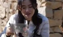 黄磊爆料玫瑰花视频播放,玫瑰花视频背后的故事