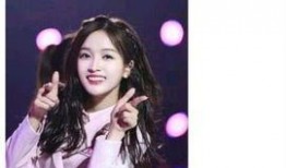 娱乐圈吃瓜爆料吴宣仪,揭秘背后真相与争议