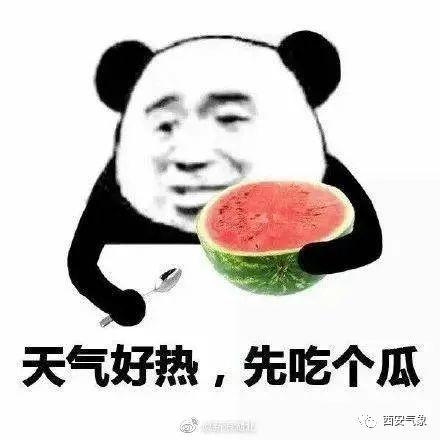娱乐吃瓜酱安排的原因,带你走进娱乐圈的真相世界